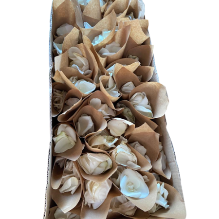 CORONA FUNERARIA