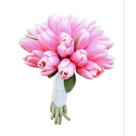 RAMO TULIPANES
