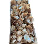 CORONA FUNERARIA